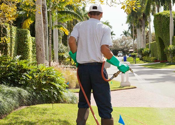 About Mildred PA Pest Control